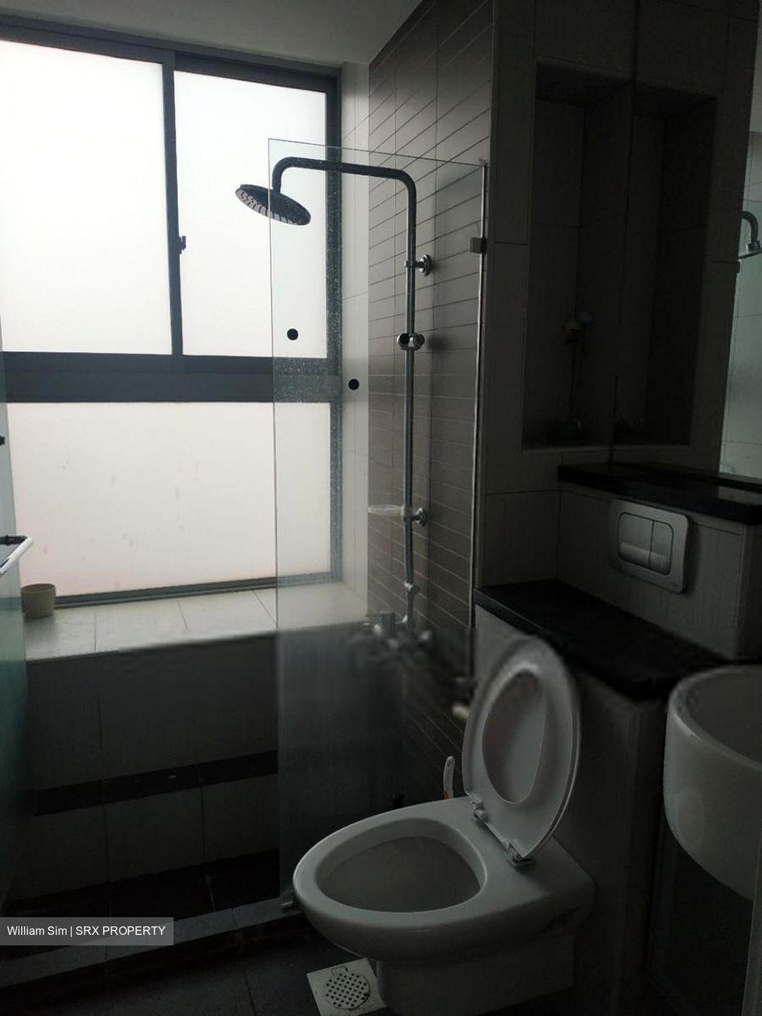 Evergreen View (D14), Apartment #415767201
